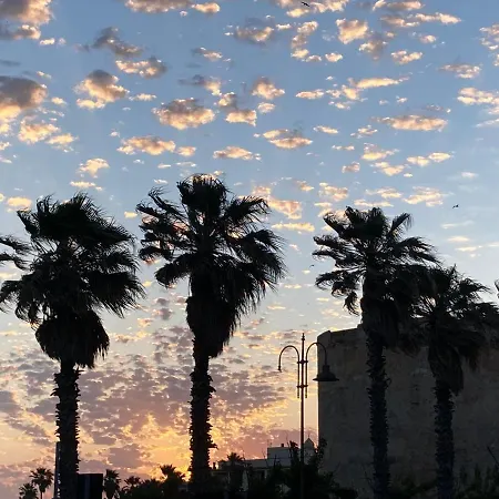 Casa 83 A Pochi Passi Dal Centro 公寓 阿尔盖罗